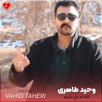 دانلود آهنگ کله نه داغ بکنیم قلیونی چاق بکنیم از وحید طاهری